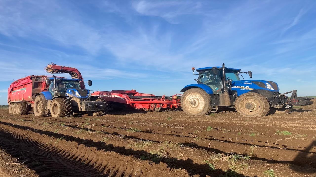 Kopanie ziemniaków 2023 #2 NewHollandT7245&GrimmeGT170S
