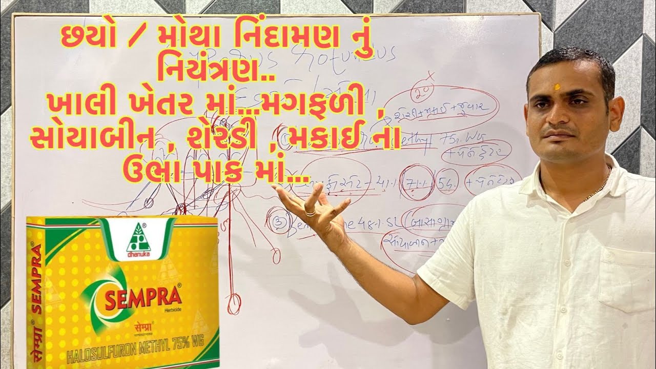 છયો / મોથા નિંદામણ નું નિયંત્રણ....