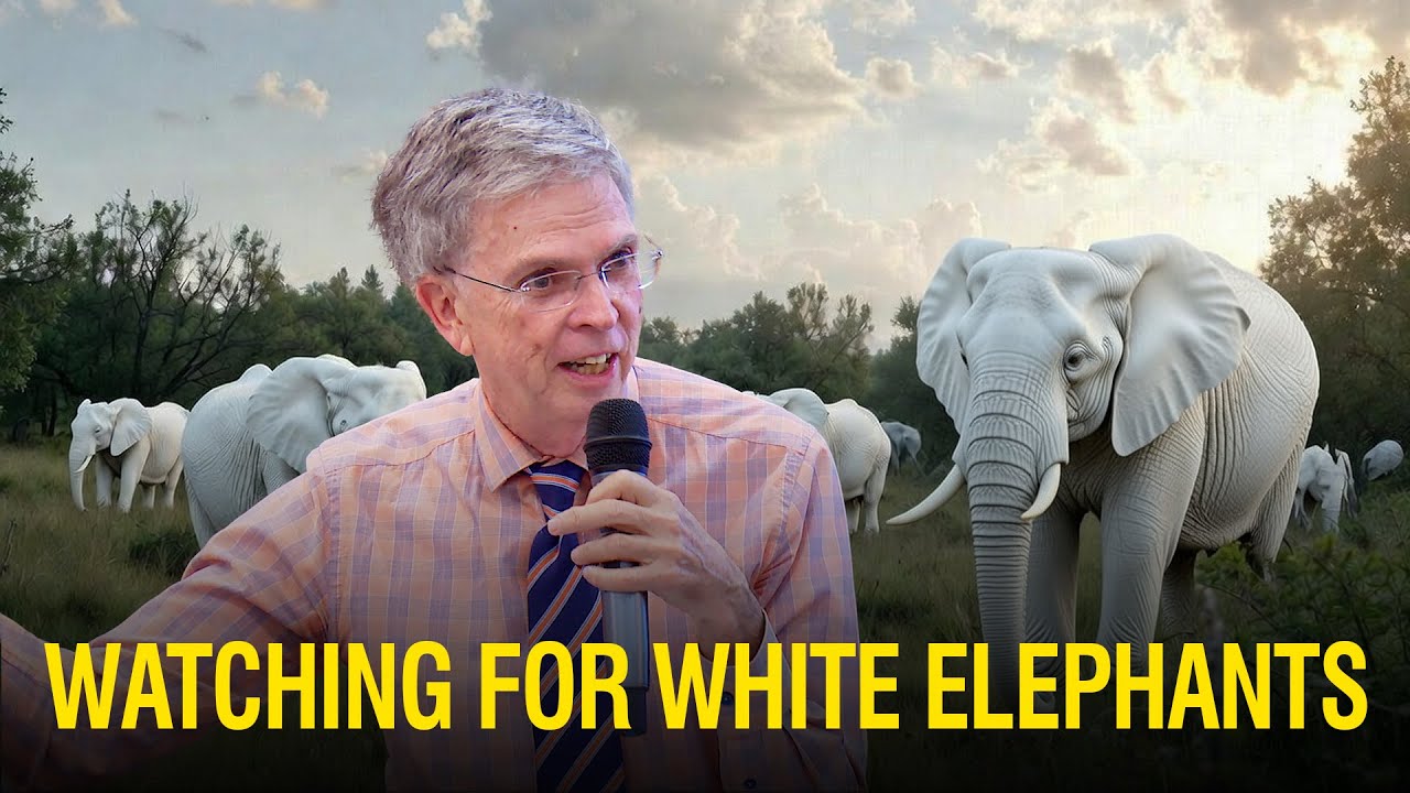 Beware the stampede of White Elephants