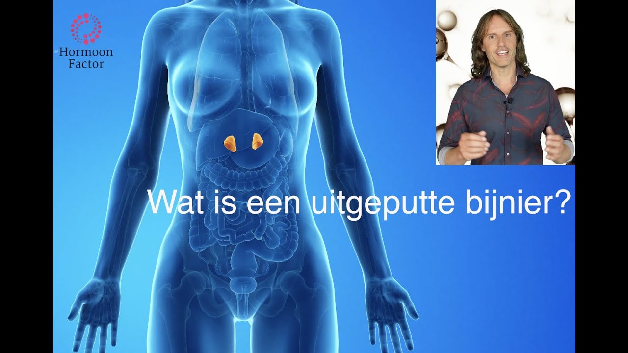 Bijnieruitputting: Een overbelast stresssysteem ofwel lichamelijke burnout