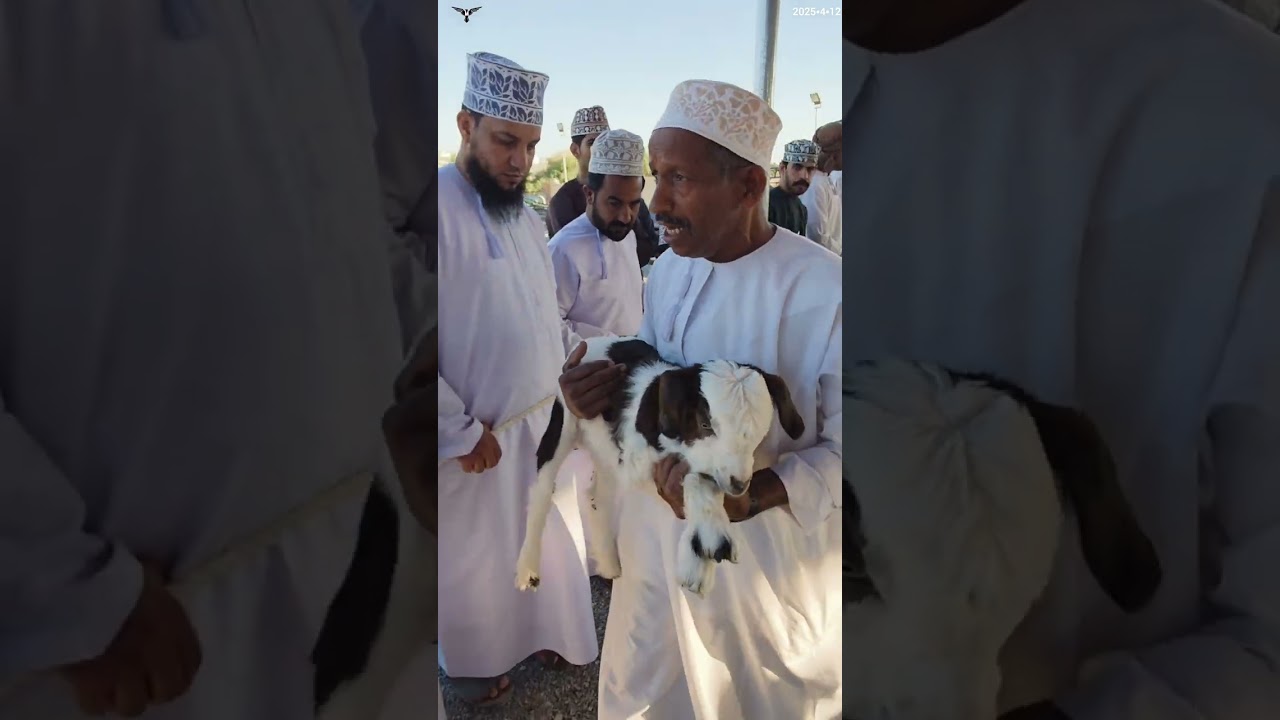 12▪︎4▪︎2025م سوق مسلمات ولاية وادي المعاول