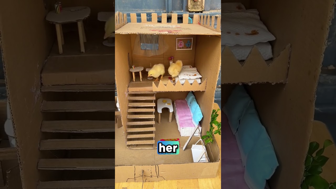 Evde Harika Bir TASARIM Yaptı! 😍