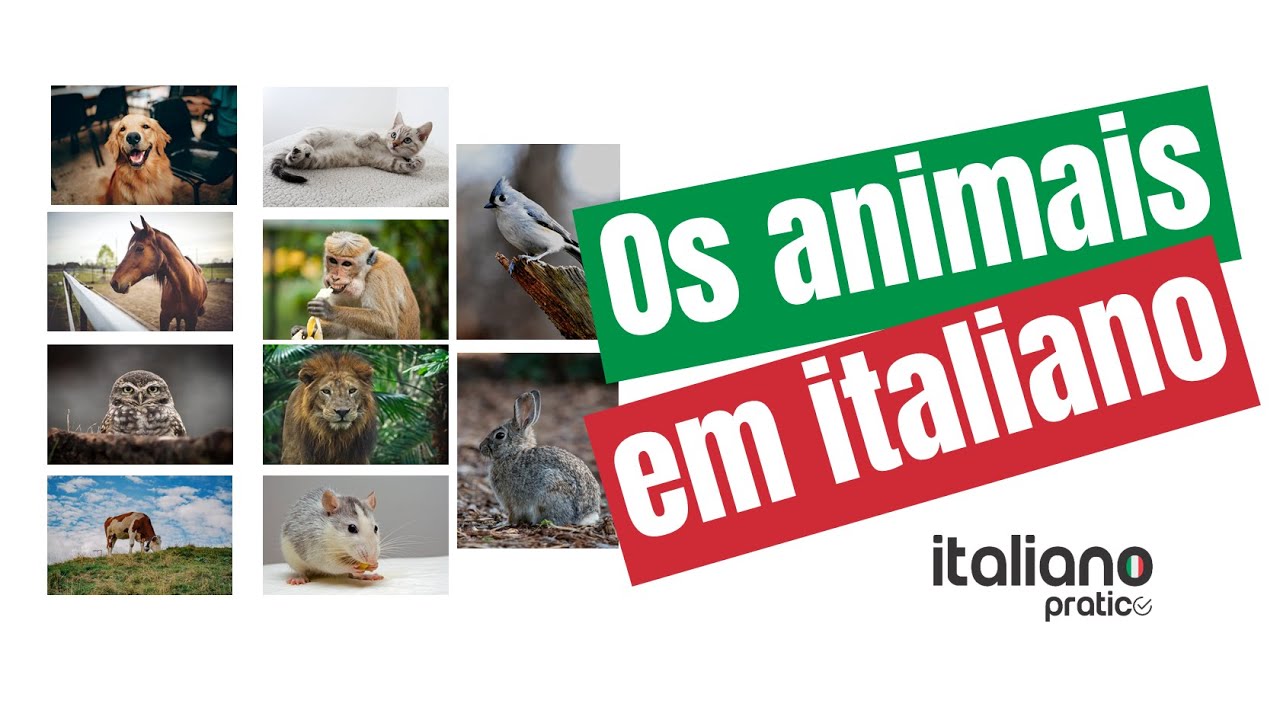 Os animais em italiano
