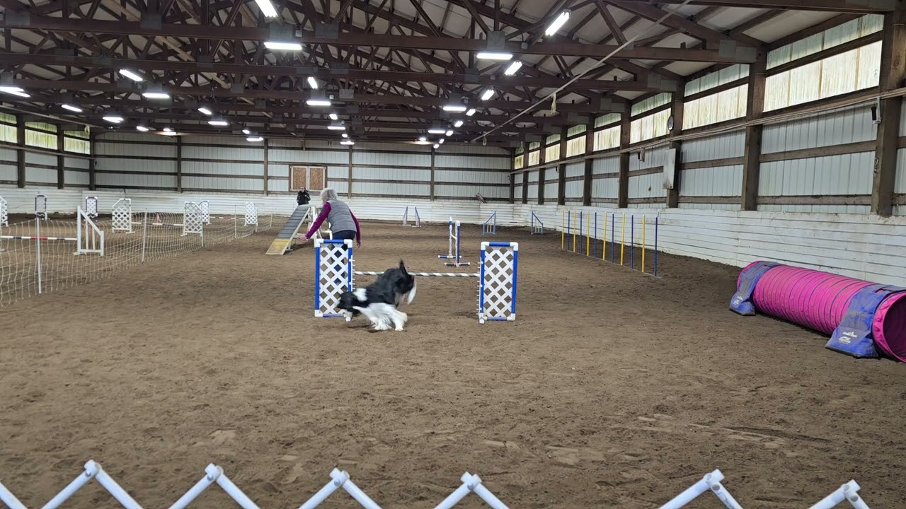 Agility Class (1) 01-19-26