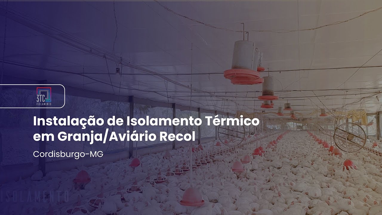 Instalação de Isolamento Térmico em Granja/Aviário, Cordisburgo/MG | 3TC Isolamento