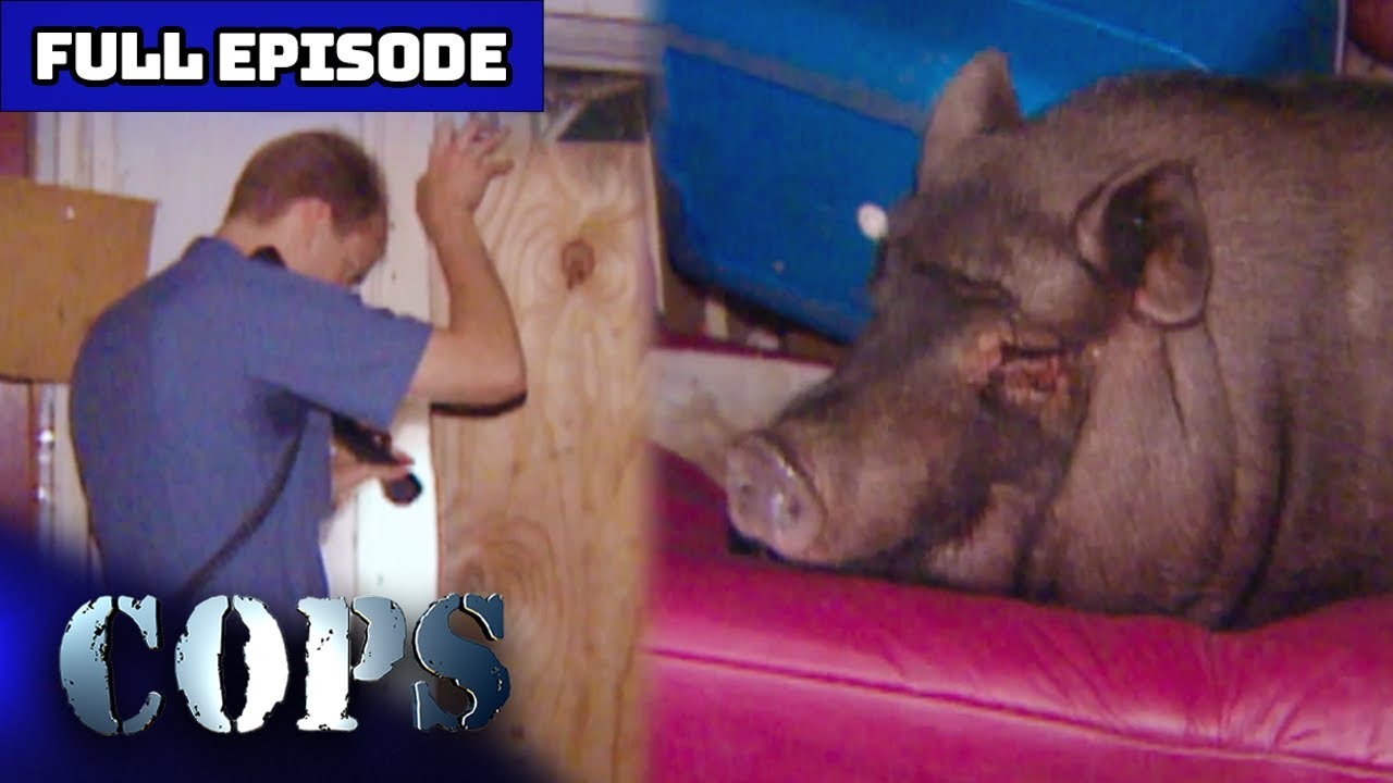 COPS Classic: &ldquo;Tony you&rsquo;re from the farm. Talk to him&rdquo; | Full Episode | COPS TV Show