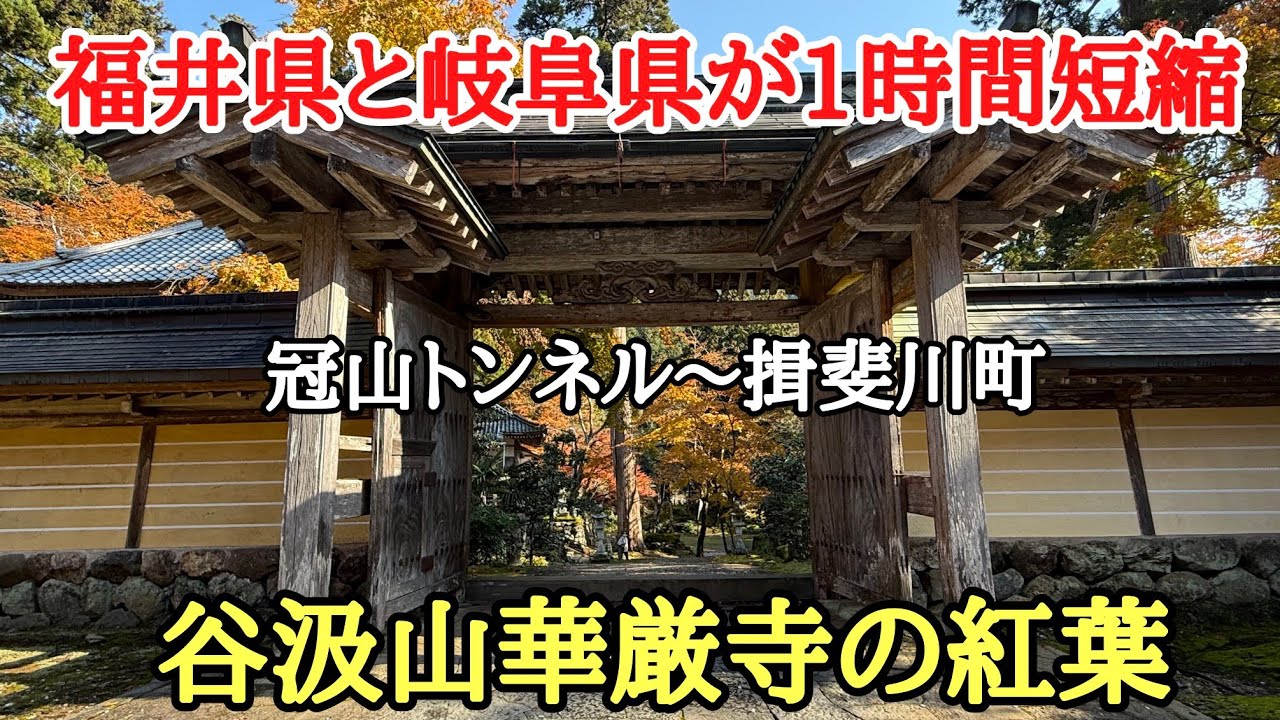 新板垣トンネル開通記念#おすすめ#旅行 #紅葉、福井県越前市和紙の里から岐阜県揖斐川町がまた近くなったので谷汲山華厳寺の紅葉を見に行きました。