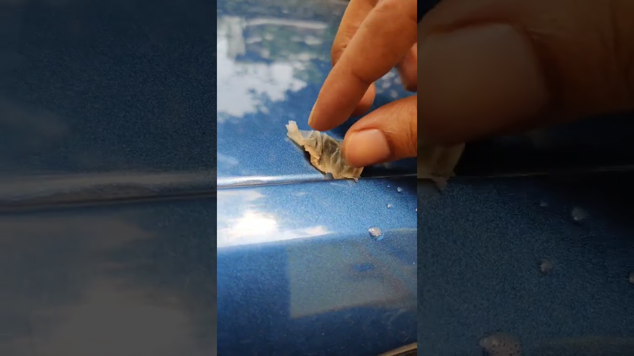 Remove cement off your car's paint