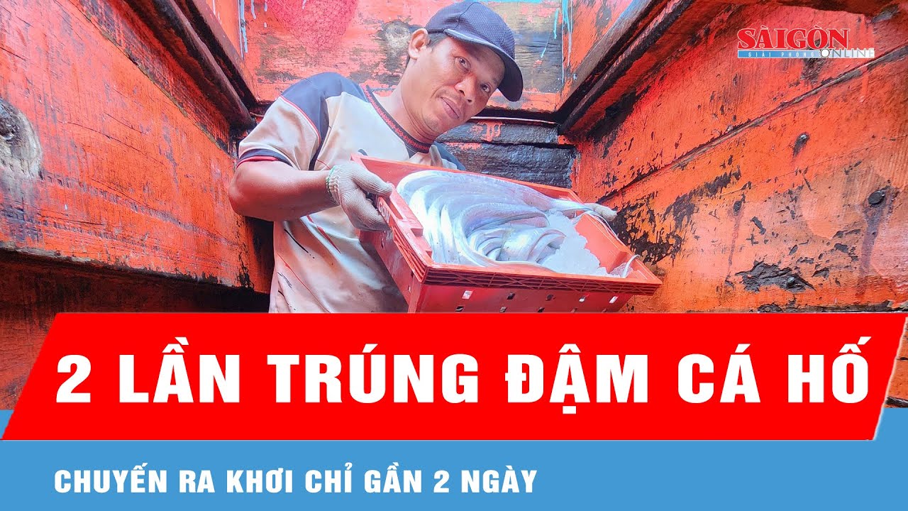 Một ngư dân chia sẻ về 2 lần trúng đậm hàng tấn cá hố