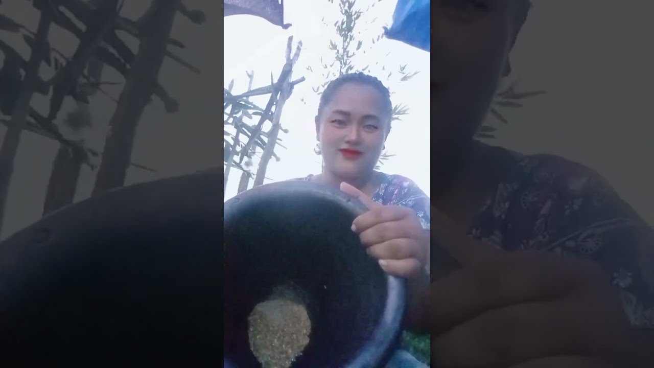 ตำข้าวไว้ก้อยหอยเชอรี่