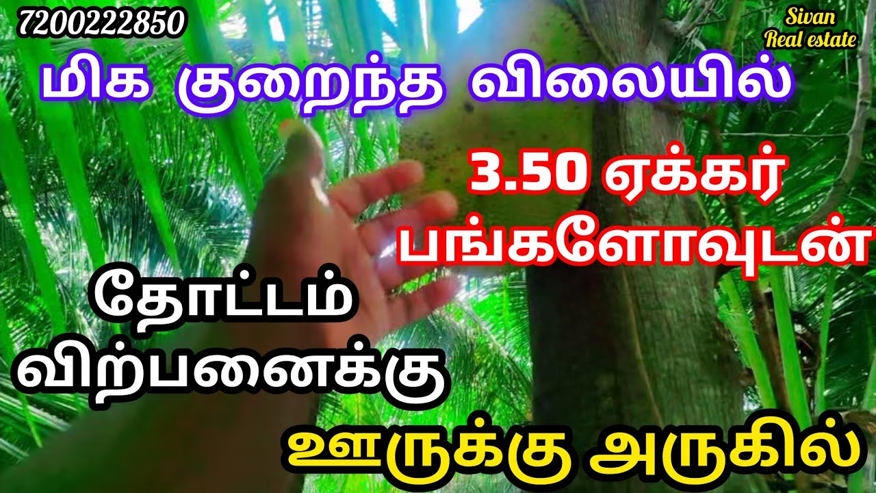 3.50 ஏக்கர் தோப்பு விற்பனைக்கு பங்களோ வீடு 1 கிணறு 1 போர் இலவச மின்சாரம் பஸ் ரூட் மேல் அமைந்துள்ளது