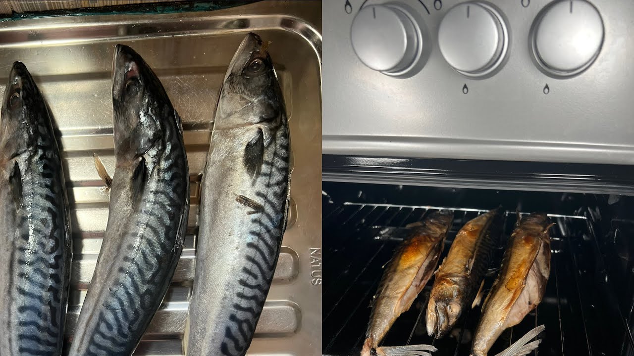 HOW TO SMOKE TITUS FISH (MACKEREL) BEGINNERS WAY  #cooking#nigerianyoutuber#viral#vlog