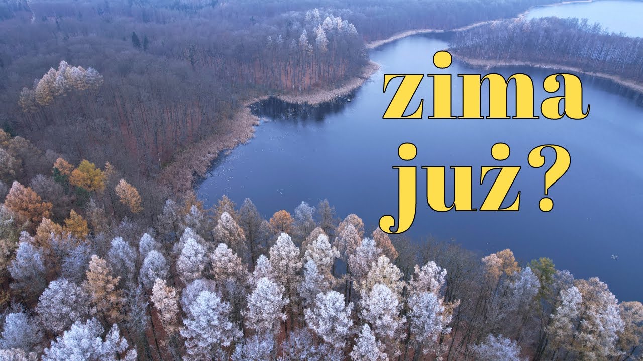 Przy jeziorze Klęckim drzewa przyprószone bielą przez mróz