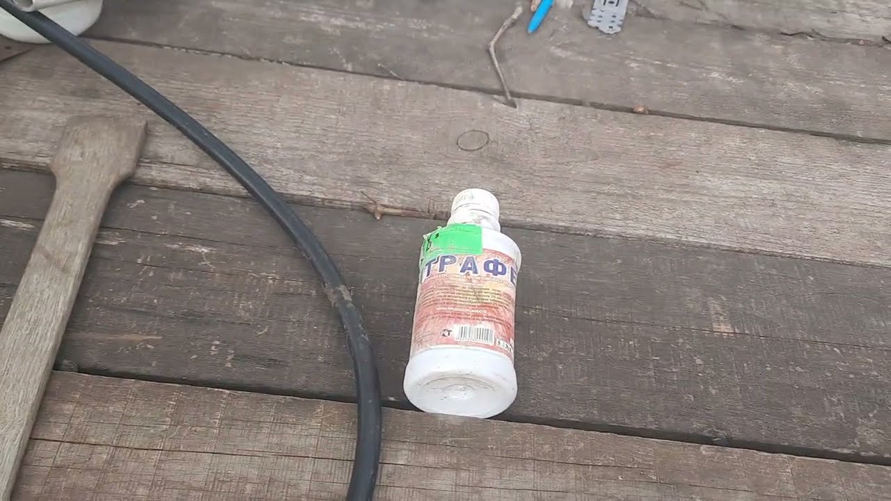 Нитрафен и Днок, для обработки по голой лозе винограда от болезней и вредителей. Стоят ли внимания?