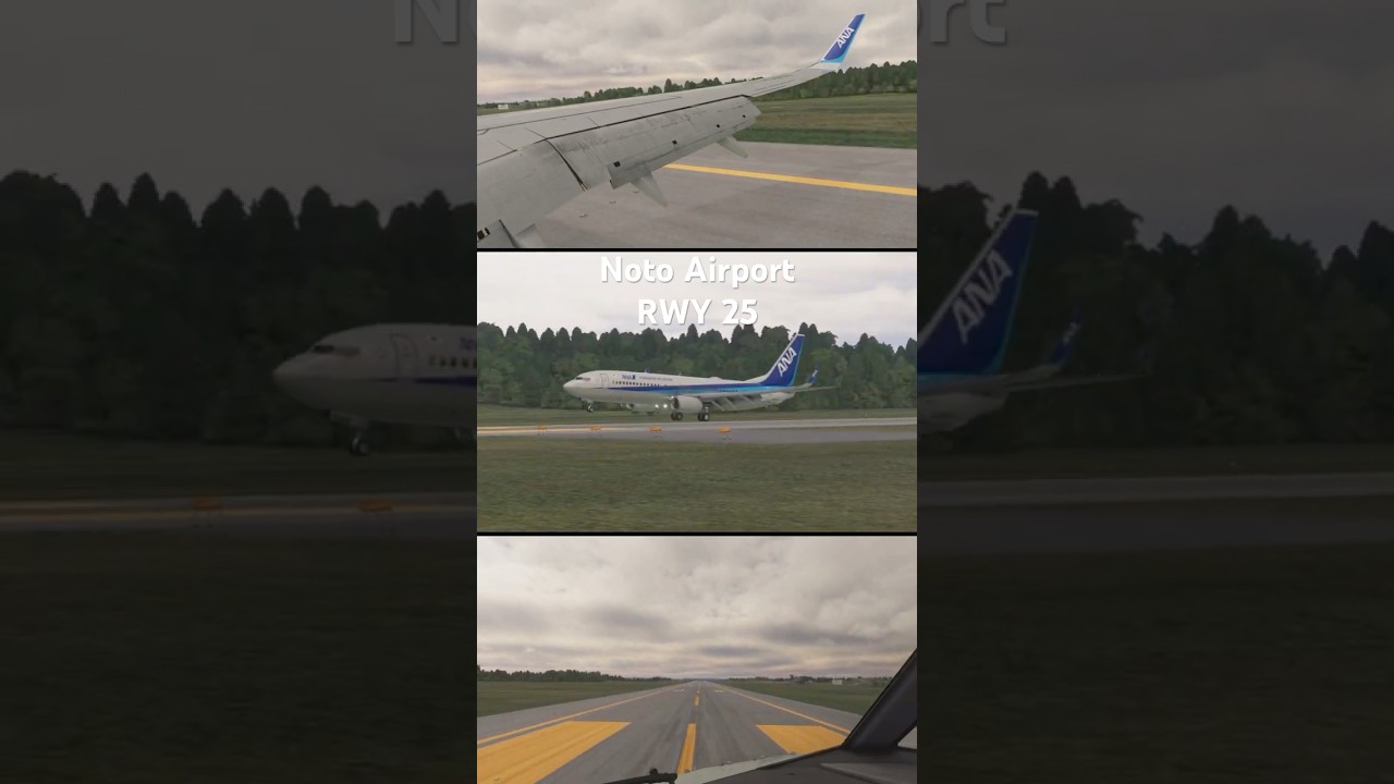 [MSFS2020] RJNW RWY25 Landing🇯🇵