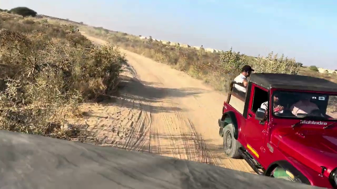 Jaisalmer Desert Off-roading #jaisalmer #desertsafari #desertoffroad 