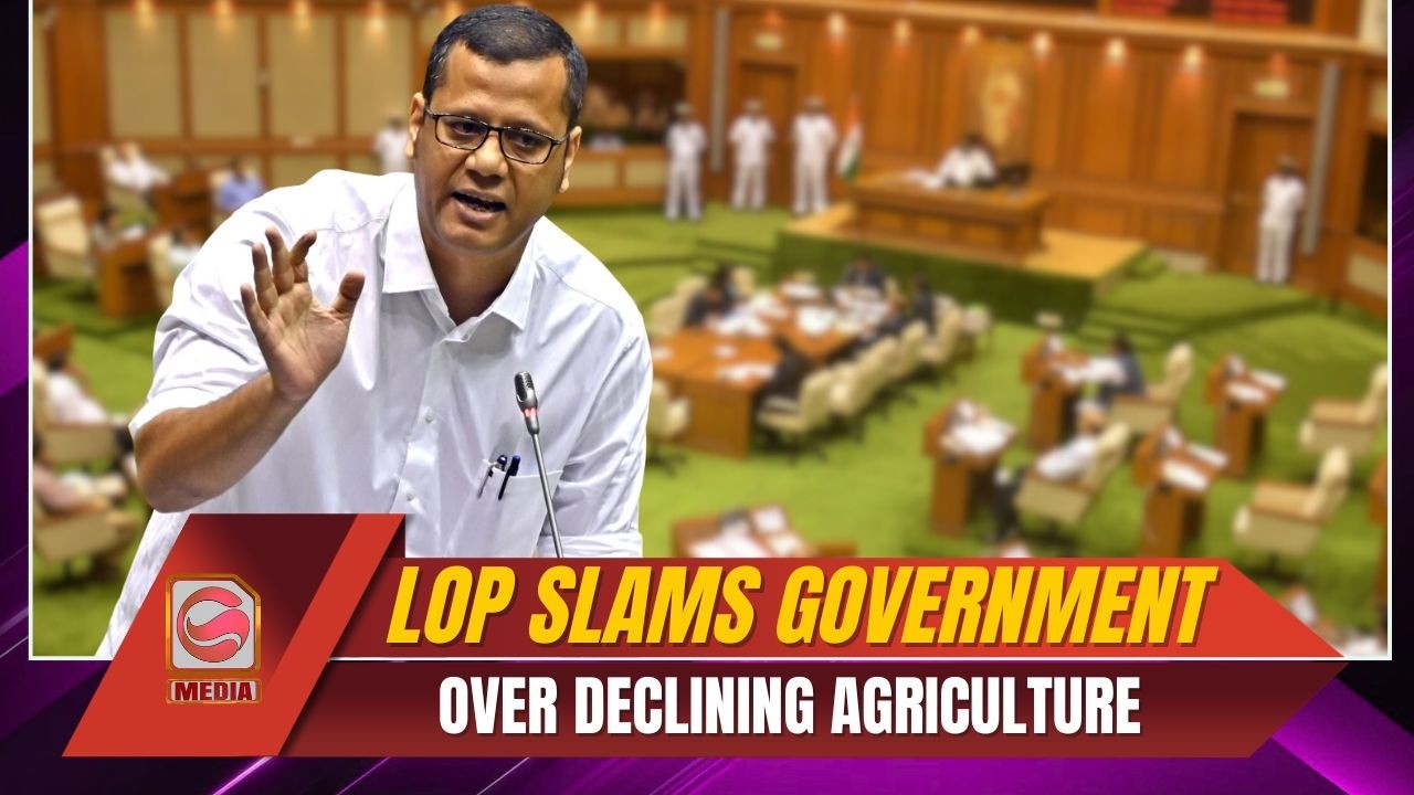 LoP Yuri Alemao Slams Government Over Declining Agriculture