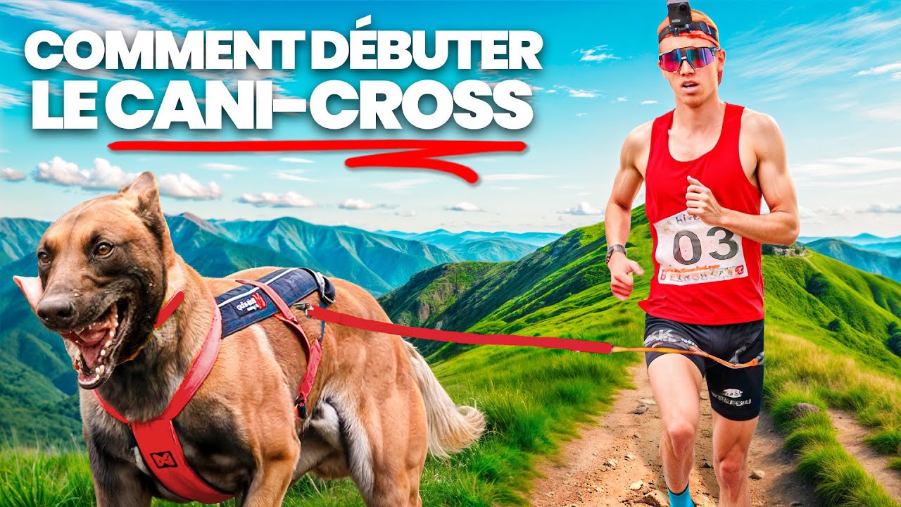 Canicross : par o&ugrave; commencer quand on d&eacute;bute ?