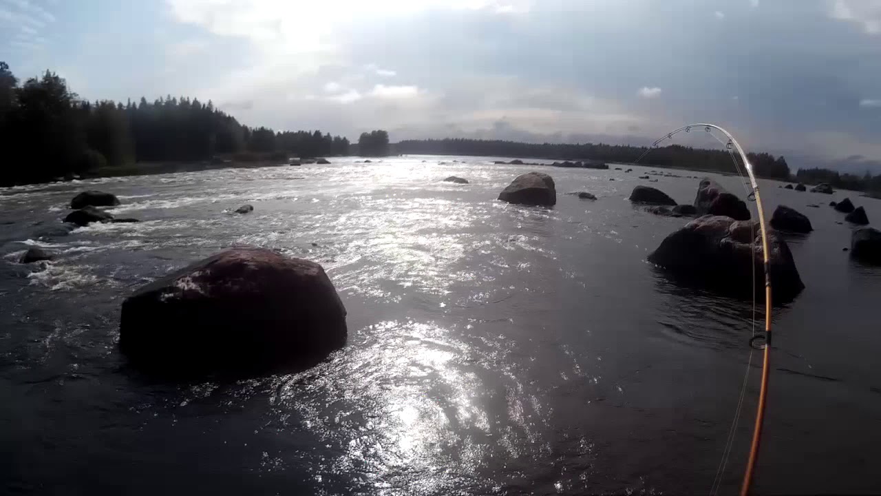 Kymijoki, Ahvionkoski 9.9.2018