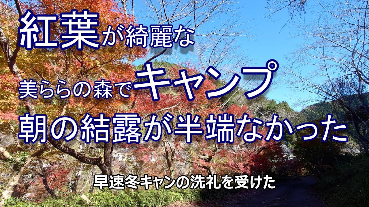 紅葉が綺麗な美ら庵でキャンプ