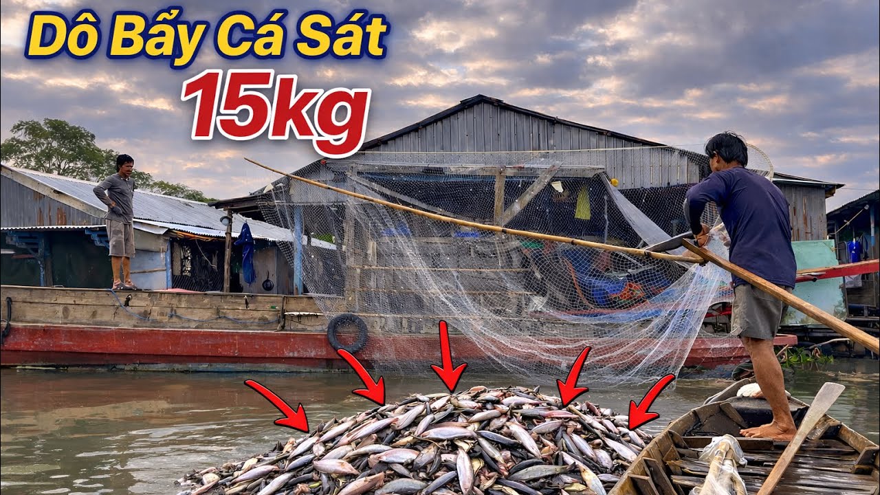 Đầu Tháng Dô Bầy Cá Sát Khủng...! Quá đã cả nhà ơi..!