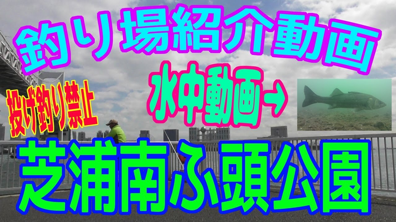 釣り場紹介 その20（芝浦南ふ頭公園）+水中動画（2020年3月17日）