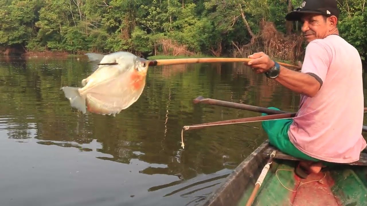 A FLECHA NÃO AGUENTOU! É MUITO PEIXE..