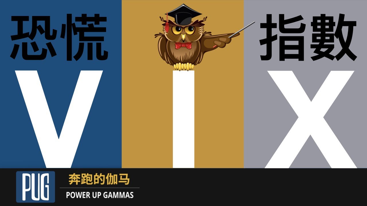 用简单的语言解释恐慌指数&middot;VIX&middot;数究竟是什么（给投资者一个根本性的认识）| The Ultimate Guide to VIX Index