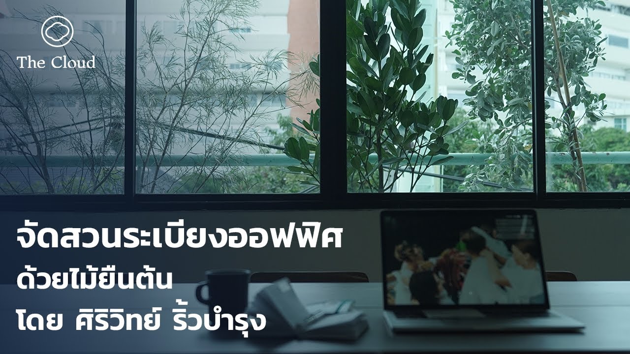 พาชมสวนระเบียงใหม่กับเหล่าไม้ยืนต้นของ The Cloud ที่จัดโดย ศิริวิทย์ ริ้วบำรุง