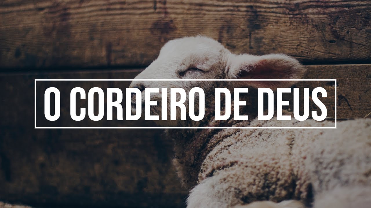 O Cordeiro de Deus - João 1. 29-34 | Pr. Creuse Santos