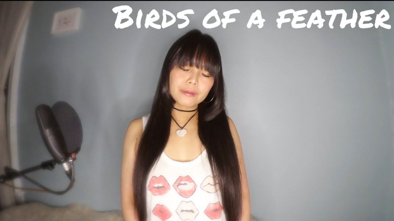 Birds of A Feather