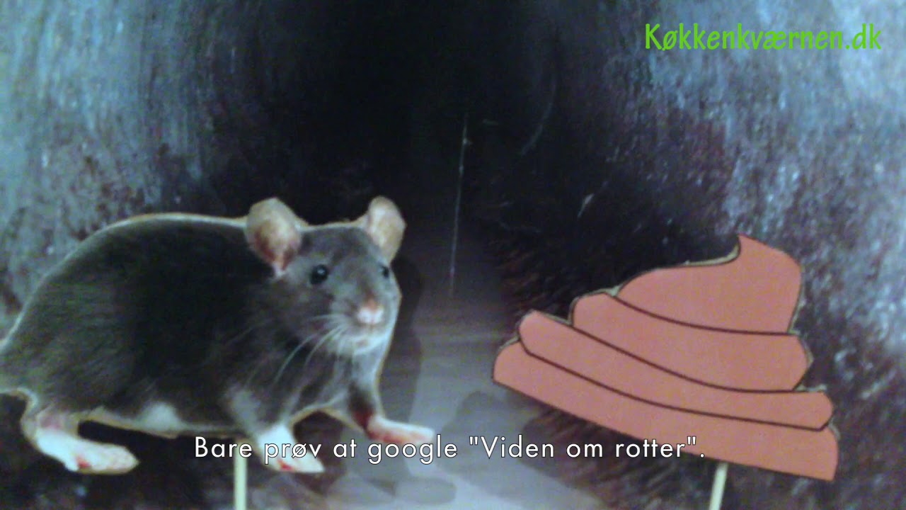 Kan vores kloaksystem holde til vores kværnede madaffald?