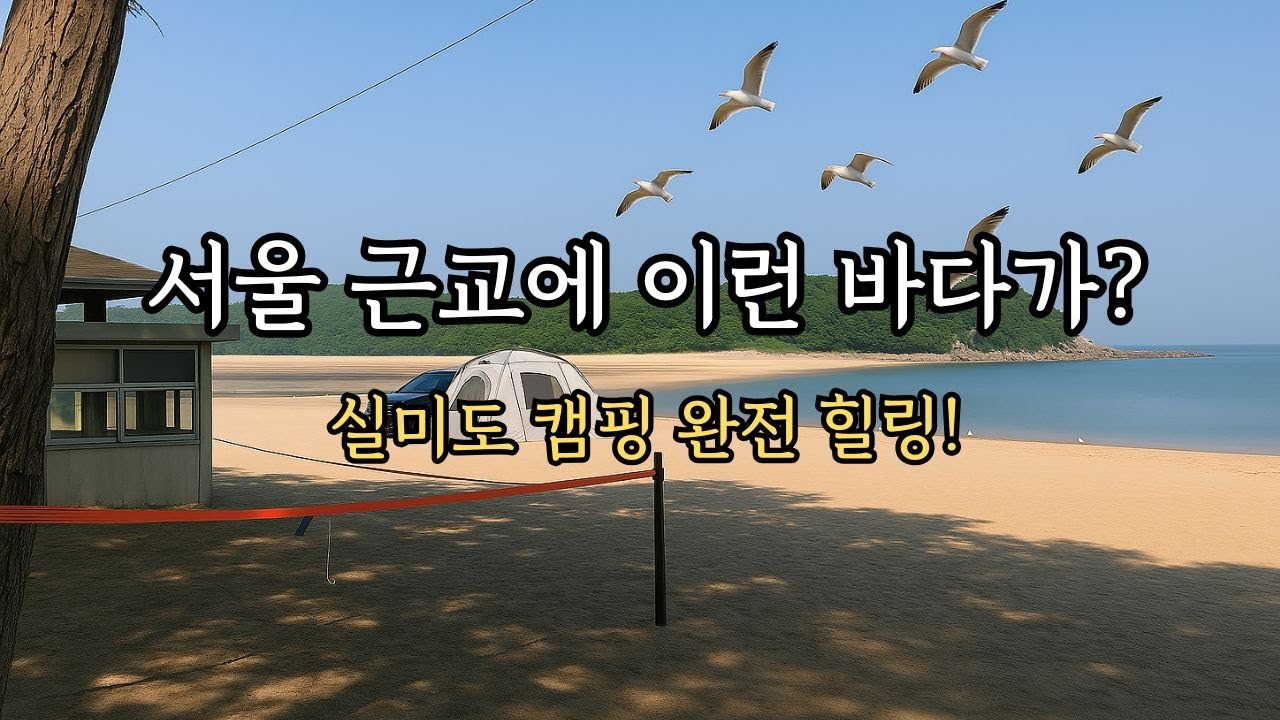 차박도 OK! 실미도유원지 캠핑장 완전 정복 🏕️