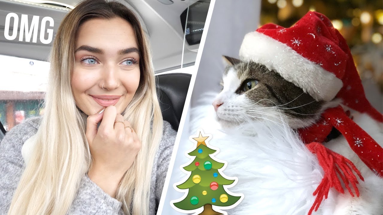 DRESSING UP MY CATS FOR CHRISTMAS! CUTEST THING EVER! | VLOG MAS