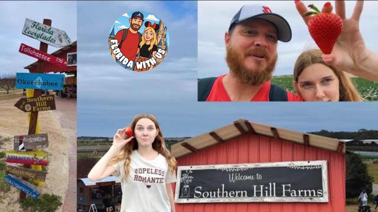 Strawberry Picking at Southern Hill Farms Clermont, FL🍓 | Hidden Gem Near Disney World!