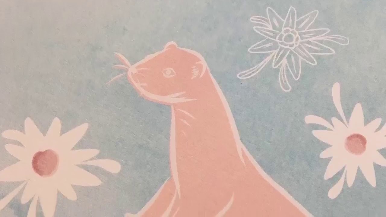 Zoom papiers 