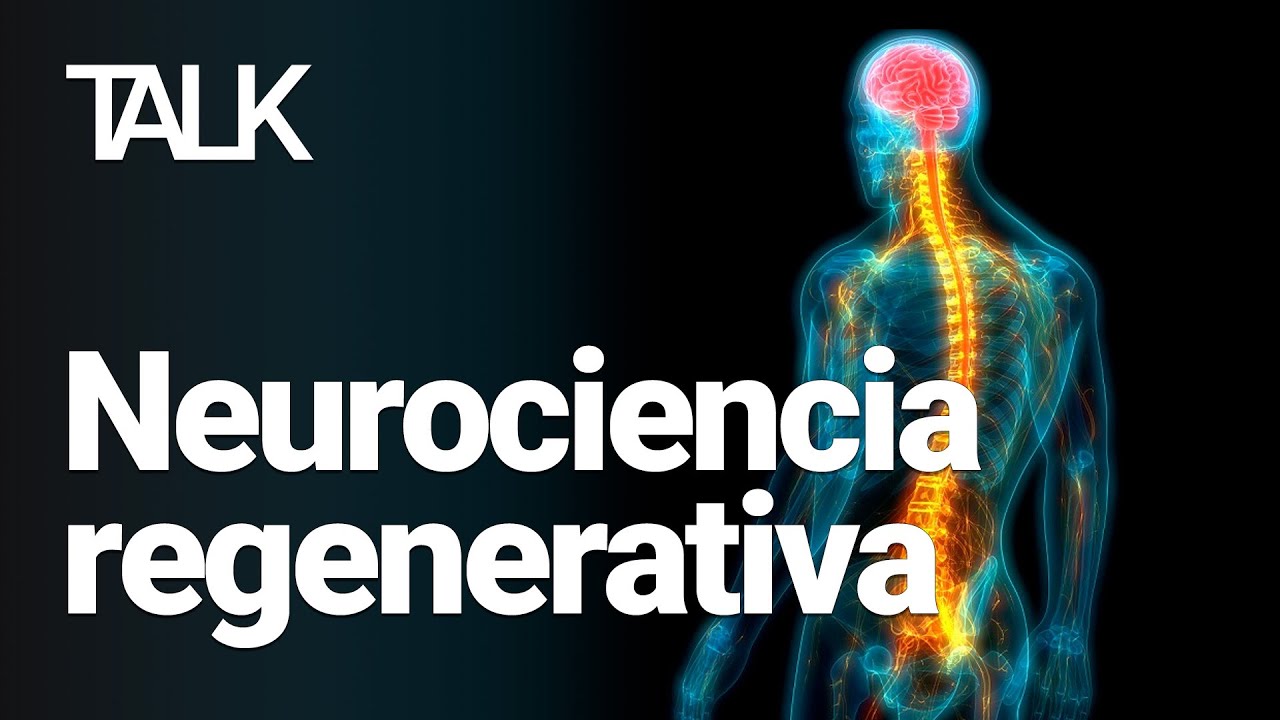 Neurociencia Regenerativa: &iquest;c&oacute;mo sanar una m&eacute;dula espinal da&ntilde;ada?