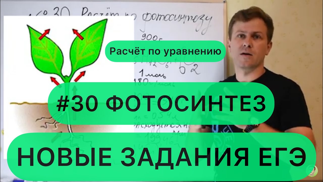 Новые задачи ЕГЭ по биологии 2022 I Задание №30 ФОТОСИНТЕЗ
