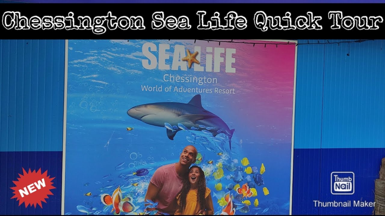 Chessington Sealife Quick Tour | What to expect | Shop | Theme Park | Shop | September 2022.