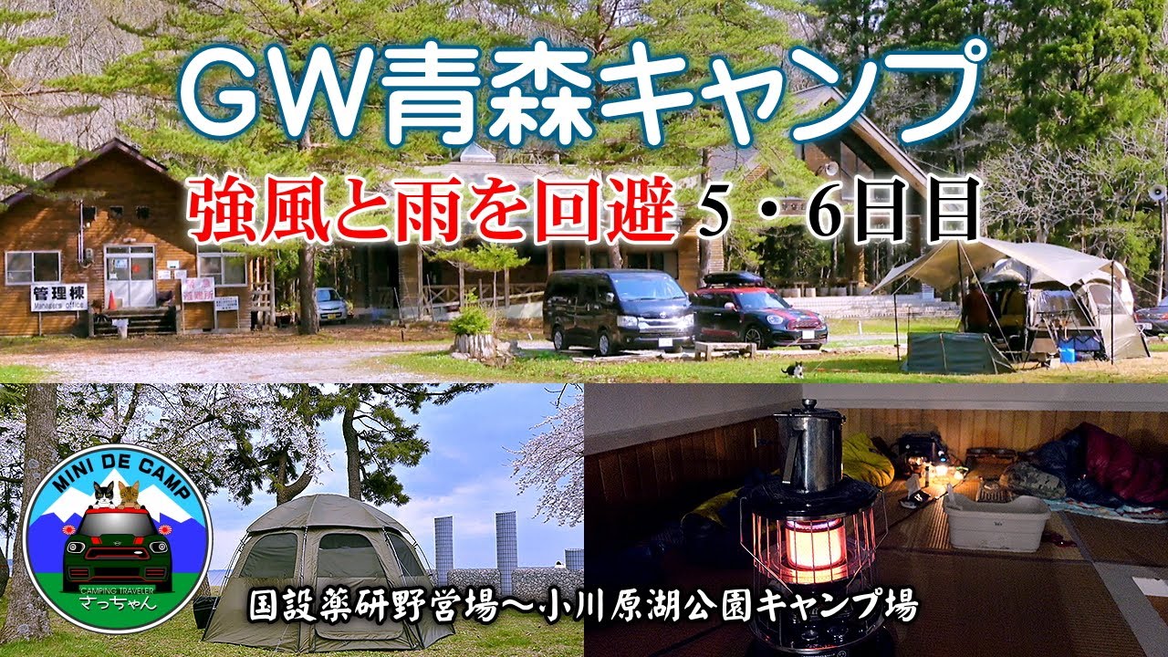 GWキャンプ！青森キャンプ 千本桜が満開の小川原湖公園キャンプ場で花見キャンプ！夕食をステーキ専門店で堪能！【5･6日目】