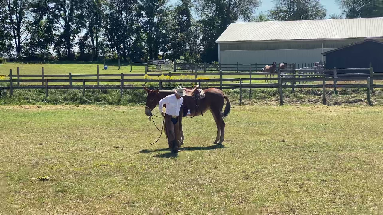 Ty demonstrates the simple “Checklist” at a clinic in Michigan