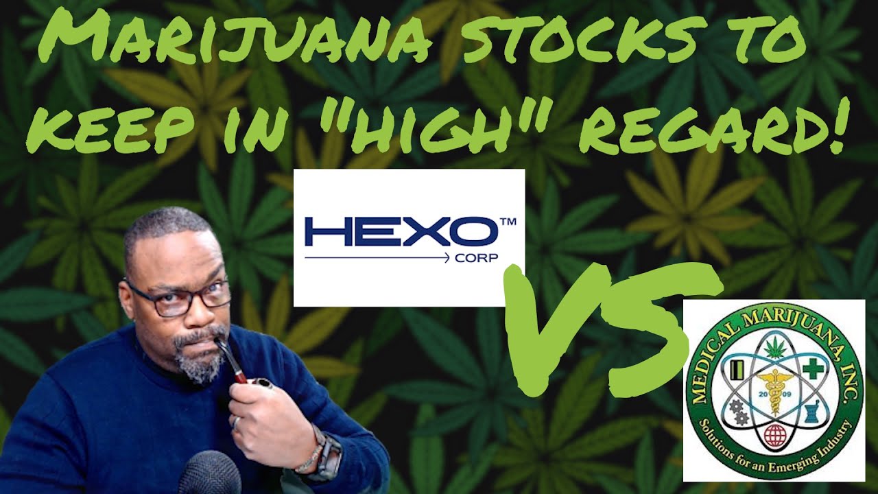 HEXO Corp VS MJNA Medical Marijuana Penny Stocks | VectorVest
