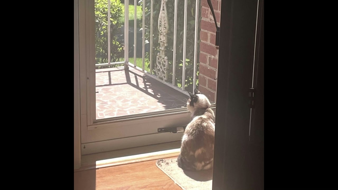 Biggie BT - Campfire 2 (prod. Olivia Barton)