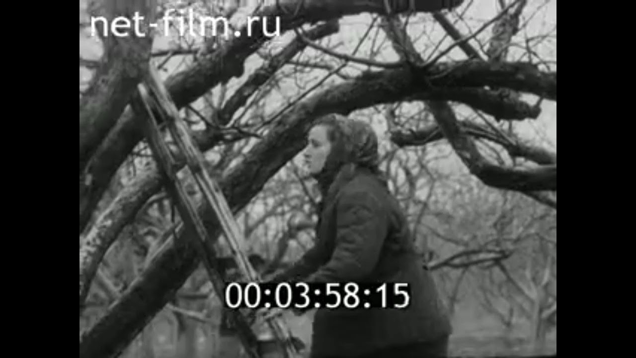 1970г. с. Кокино. совхоз- техникум. Брянская обл