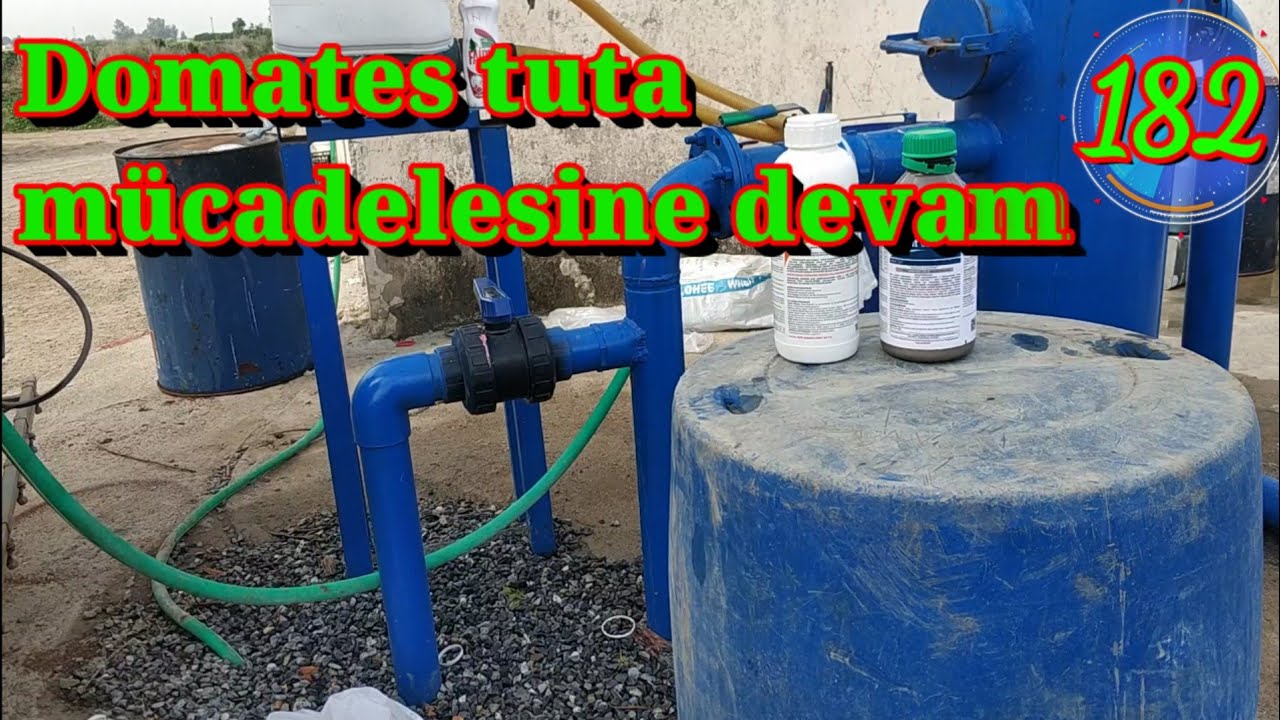 182 Domates te tuta absoluta için kullandığım ilaçlar. Domates ekimi bakımı ve yetiştiriciliği