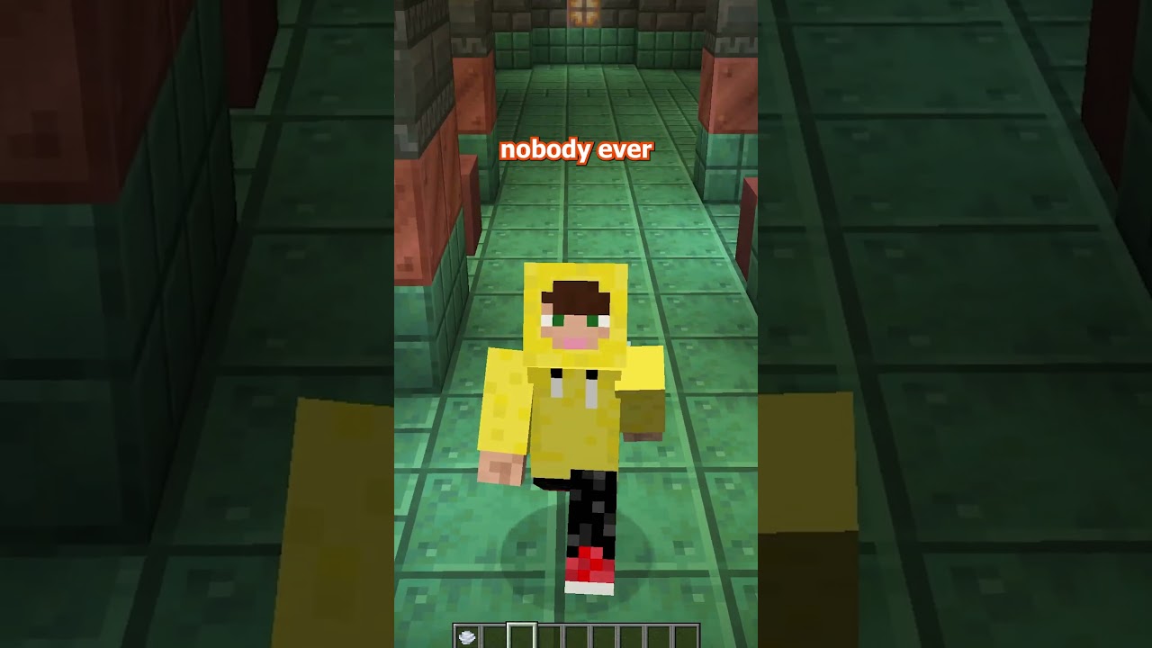 you CAN do this in minecraft, doesnt mean you SHOULD. #minecraft