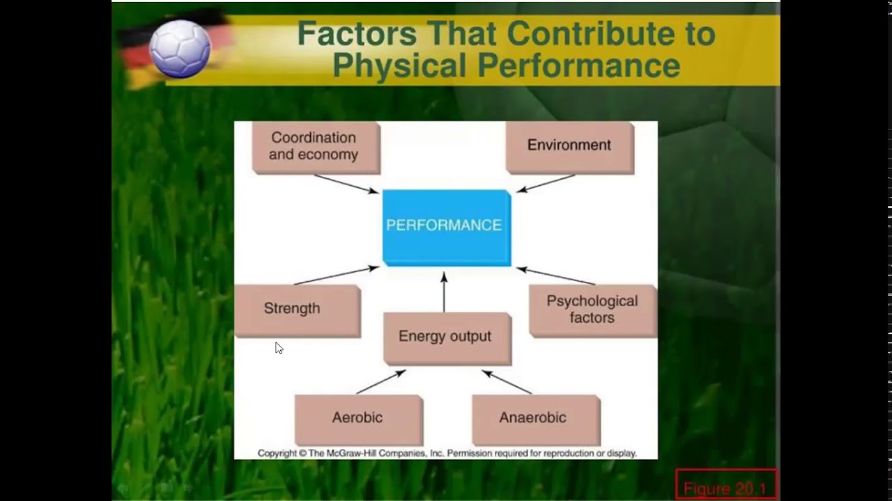 Exercise Physiology || Lec || Laboratory test || Performance part 1 || Dr Nida Akbar || urdu || CMT