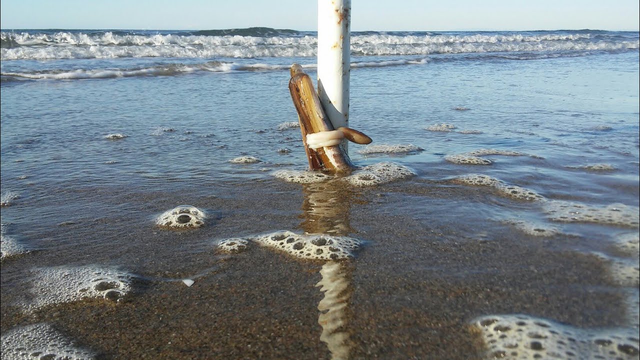 Surfcasting Málaga #53 Como Conseguir Cangrejos. Buscando Doradas.