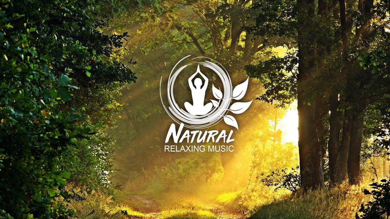 Real Soothing Music | Enchanted Luminous Forest