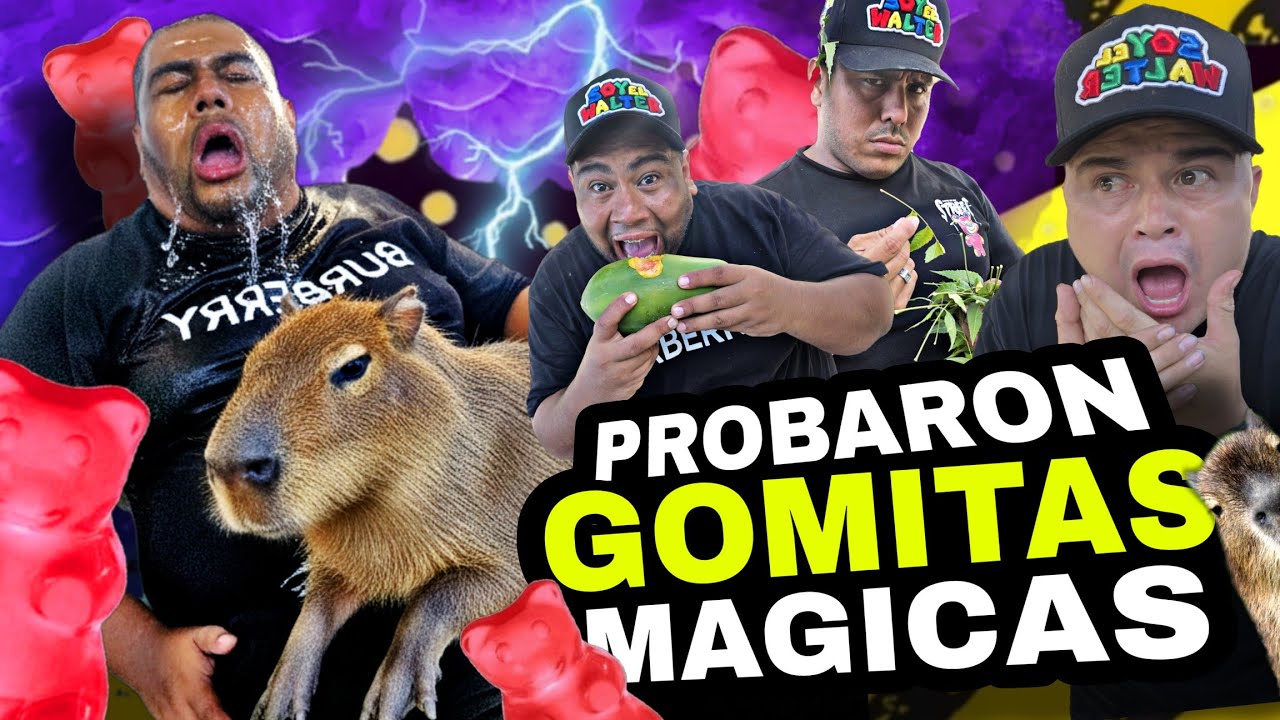 GOMITAS MAGICAS DE OTRO PLANETA 😱 | Asi reaccionaron a broma sorpresa 🤣